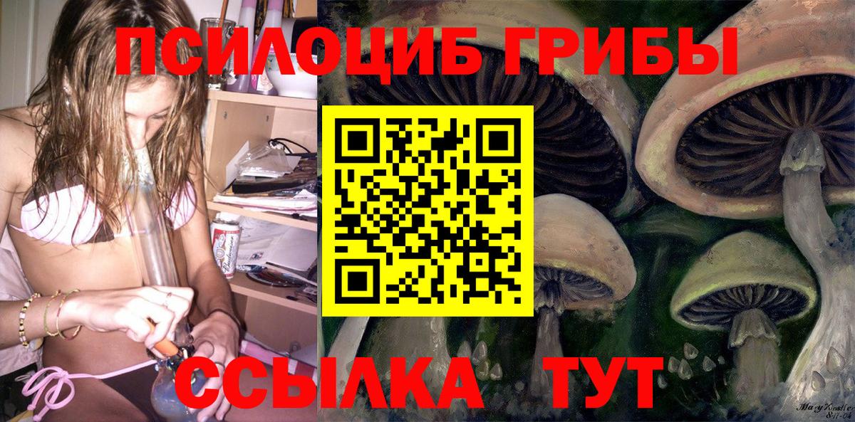 Псилоцибиновые грибы ЛСД Донецк